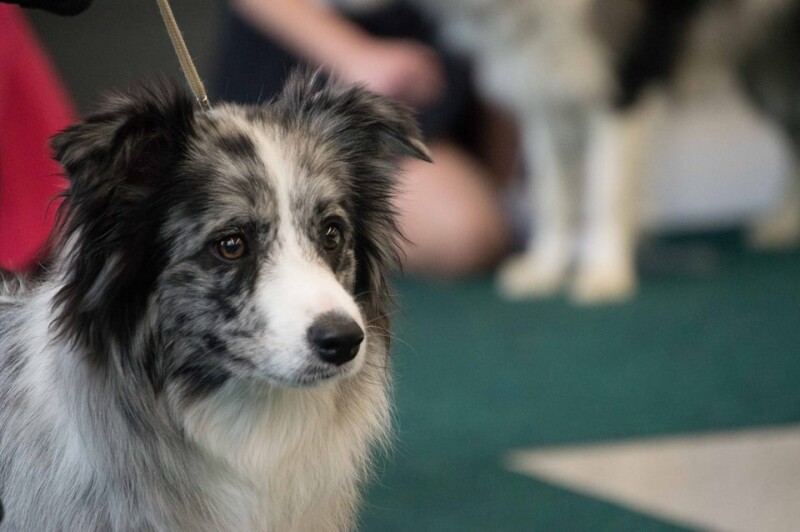 12998627_10205465803875922_3282590080082488380_n