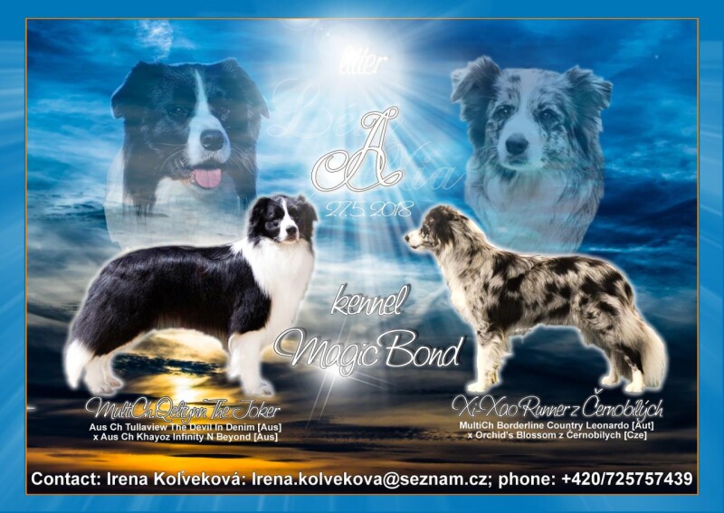 the-beginning-of-sunset-2472785aaa