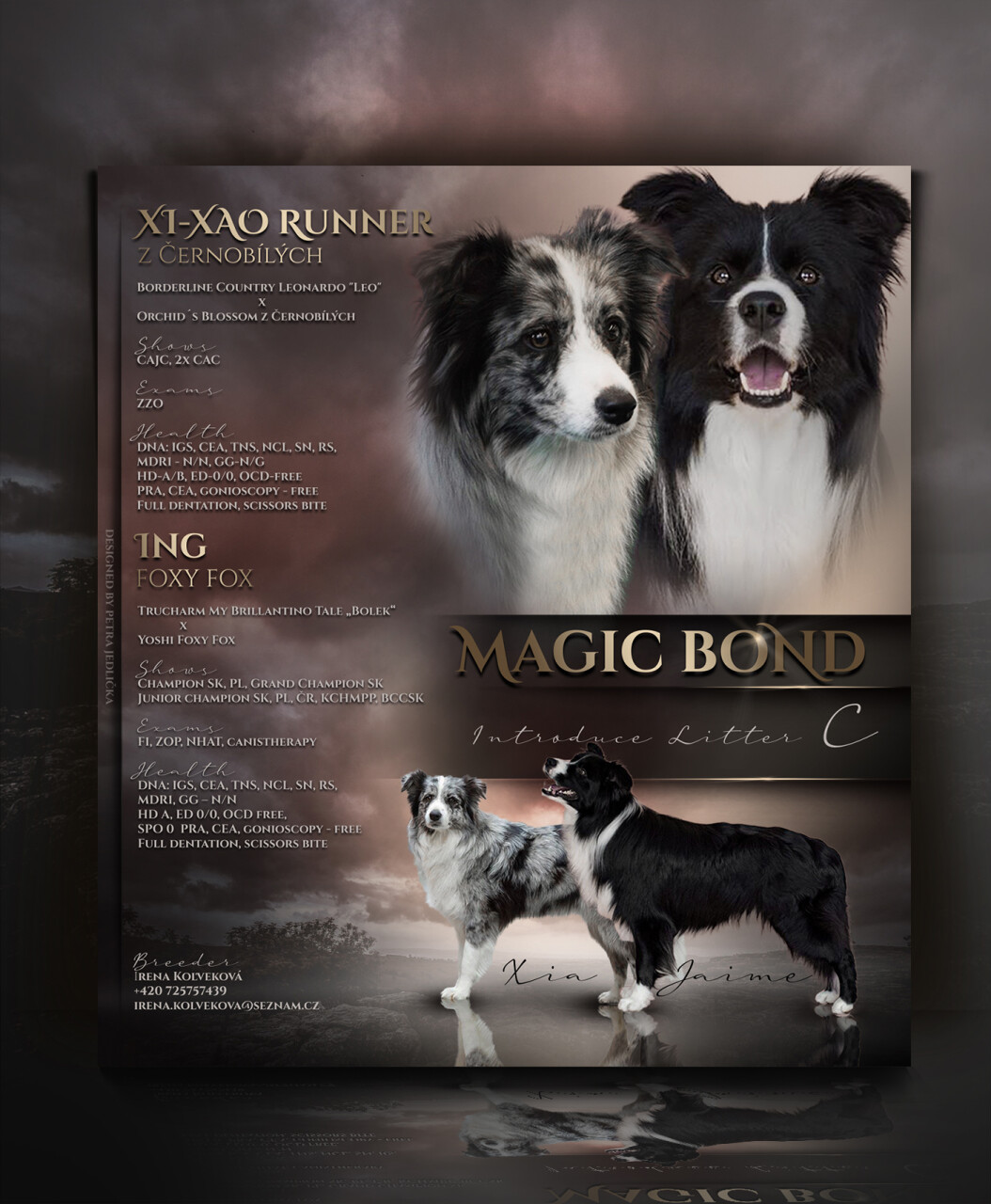 magicbondlittercprezentace