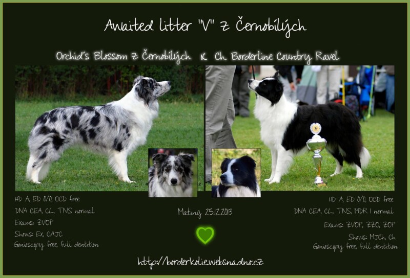 1534692_10152153603167290_101574451_o