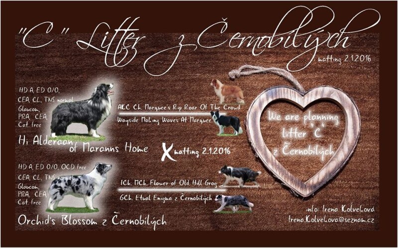 12647184_10153884160062290_3332569065246186401_n