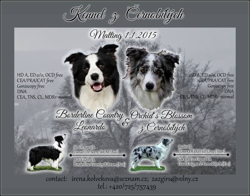 10376276_10153039907917290_7527008972704983551_n