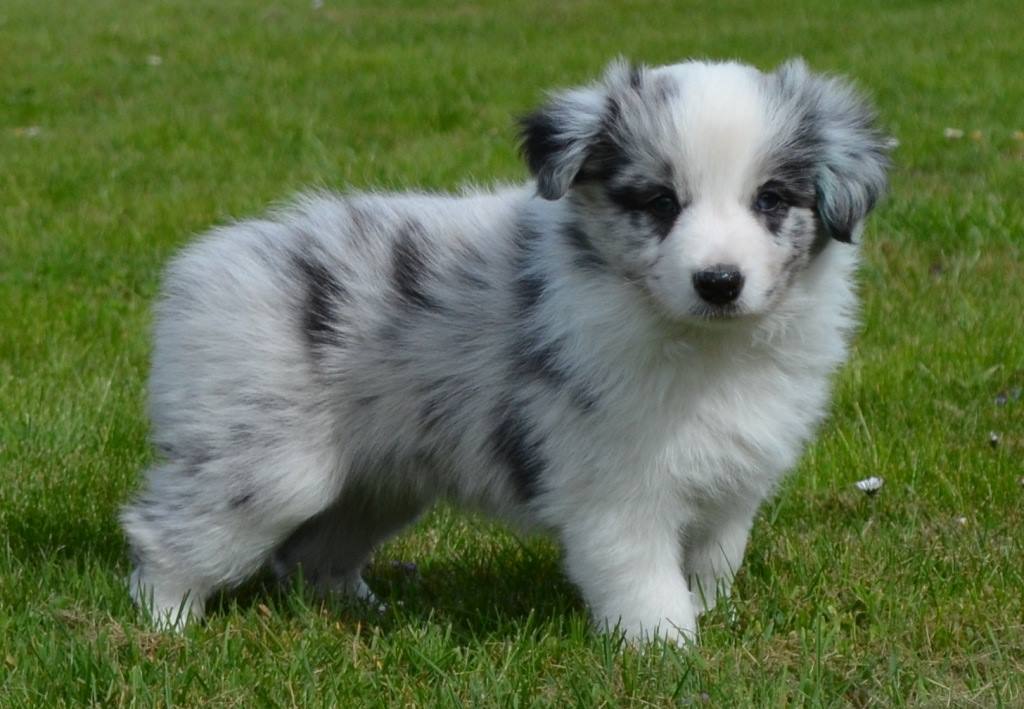 10010827_383612345114583_9129070434833409067_o