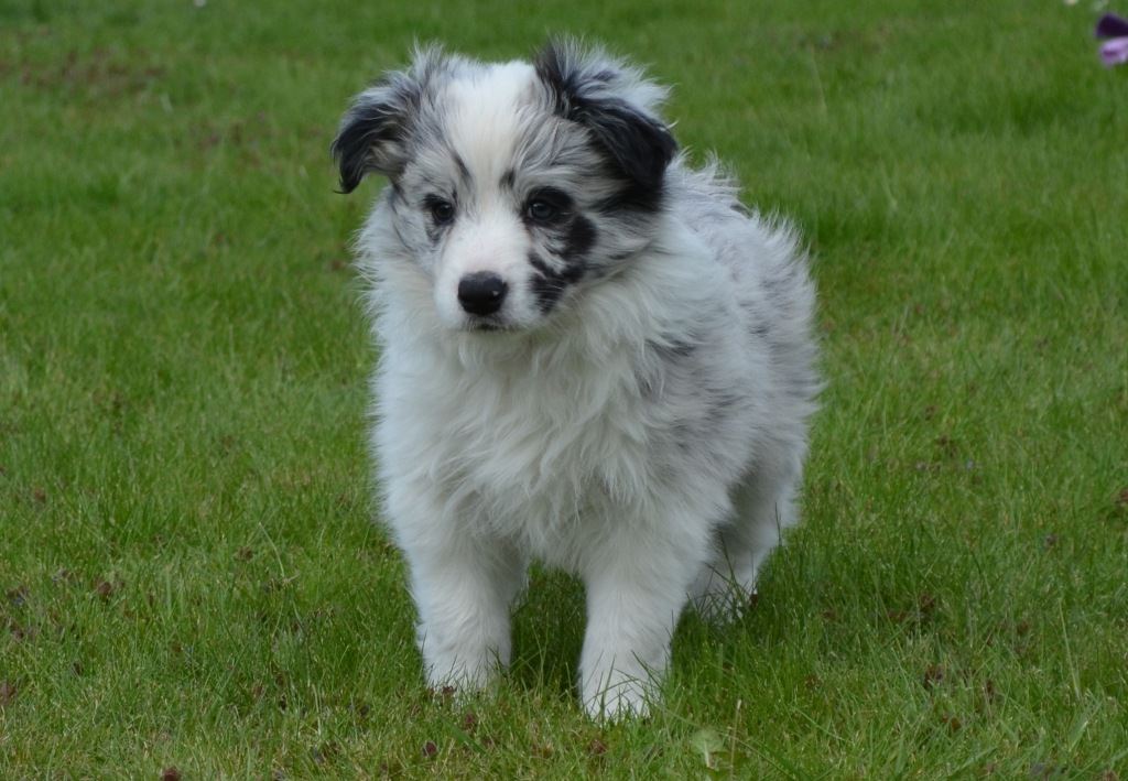 10011893_383620211780463_3590836666523206776_o