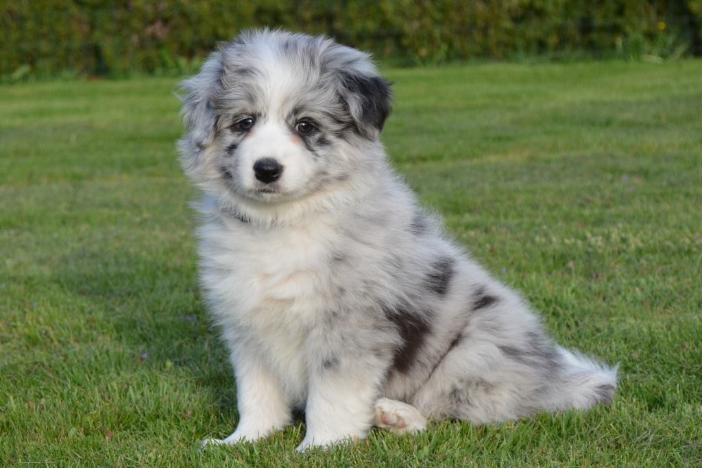 11169416_552849888190827_502687665102024256_o