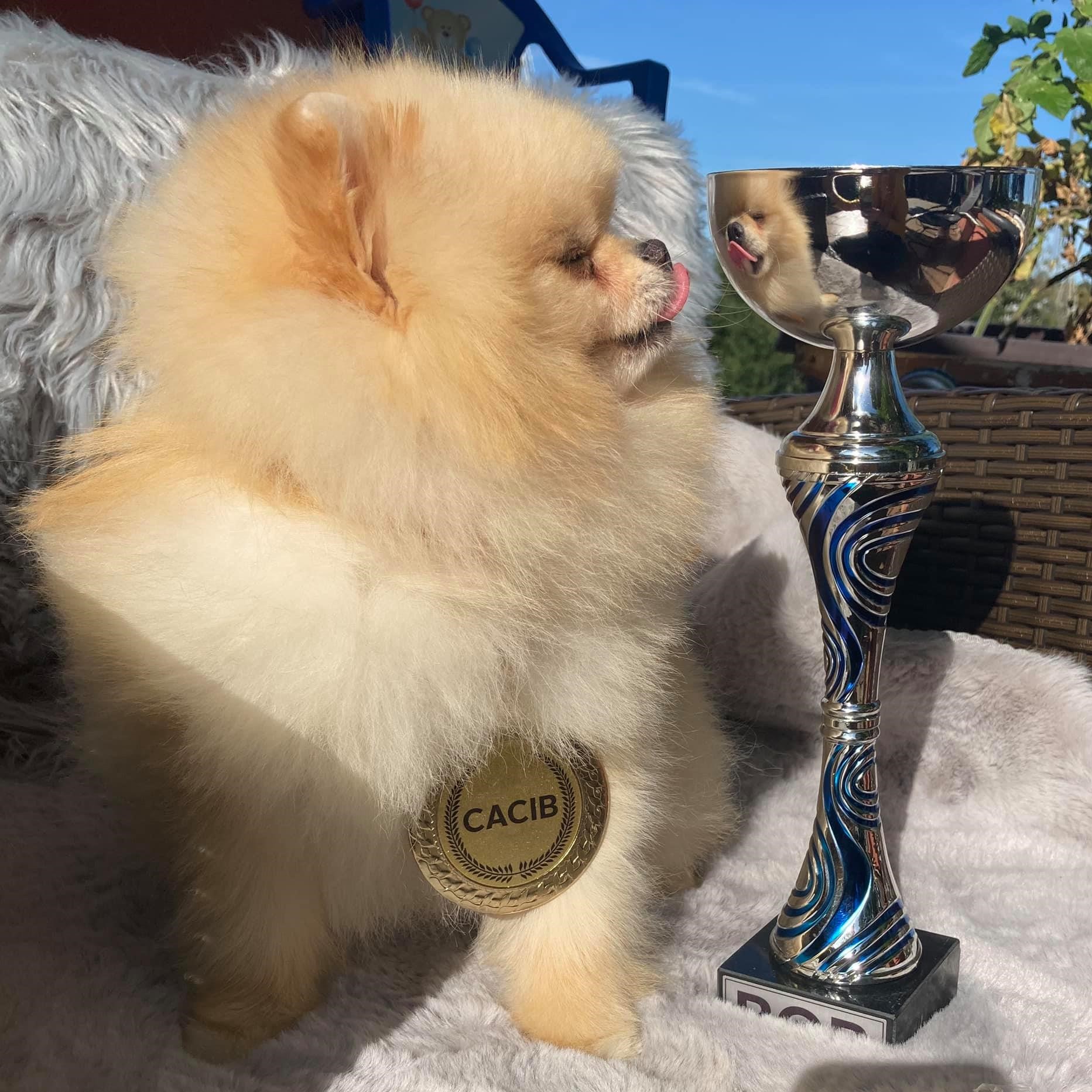 119681945_2742879769322398_2903160697335889369_o 2