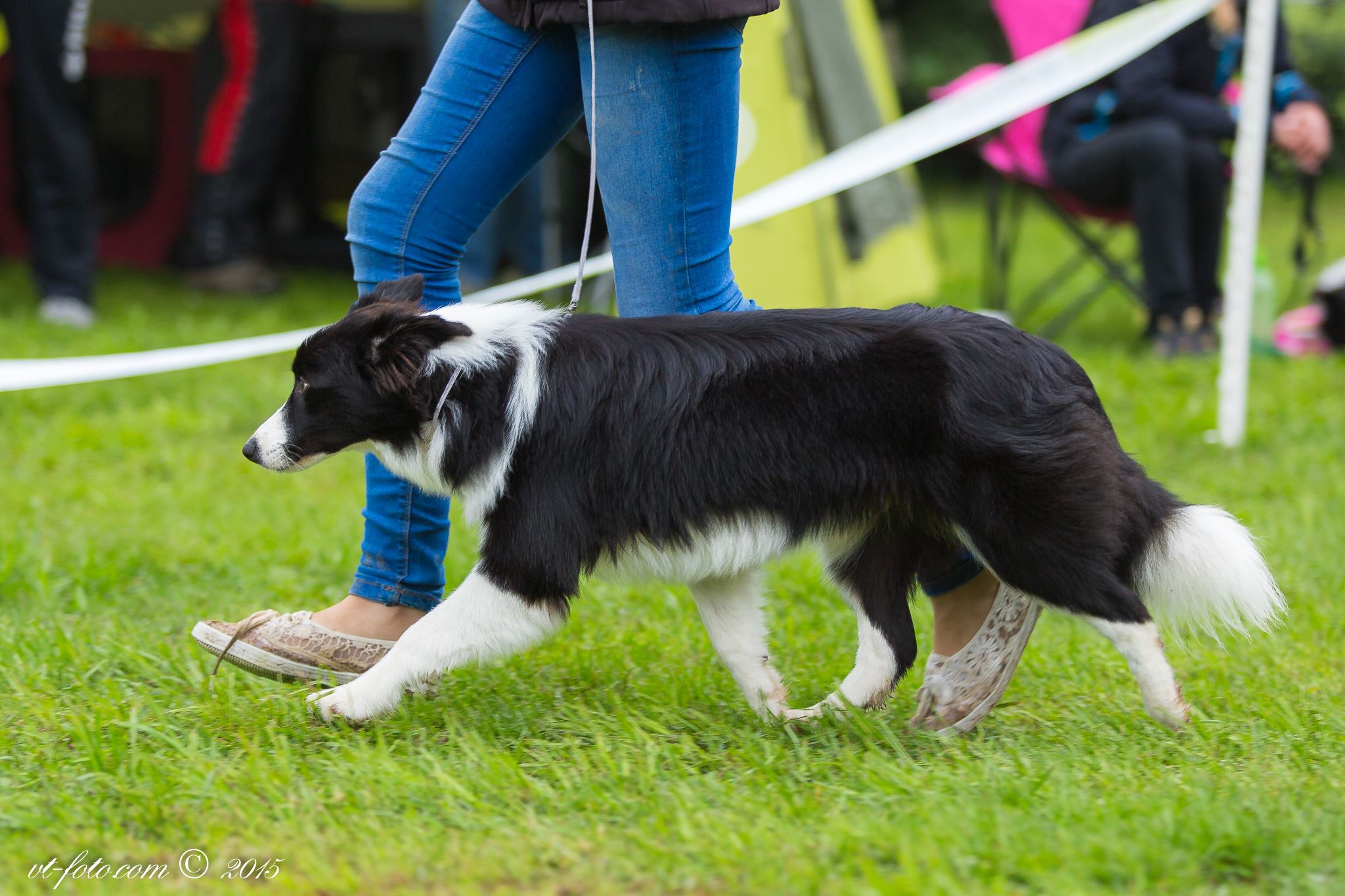 12001011_1625867317674611_6102679551620718138_o