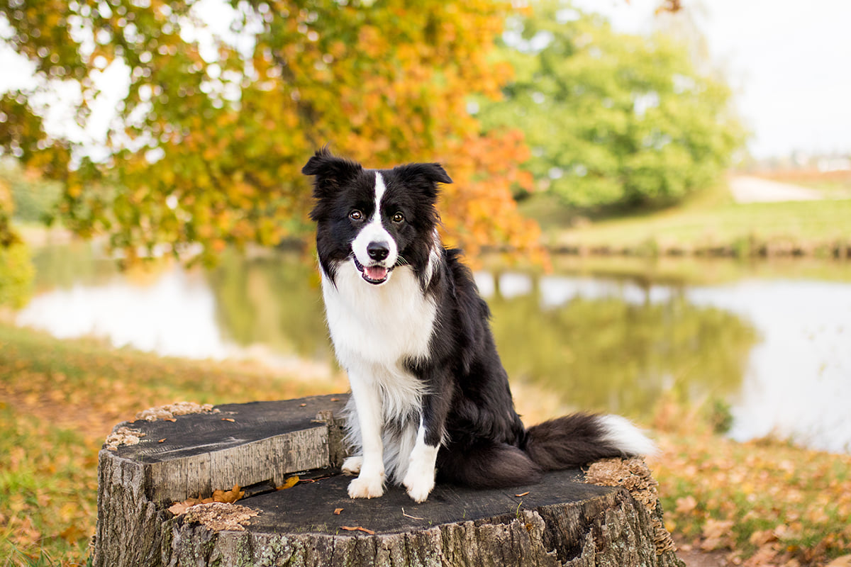 122246291_3556171141069604_5370492918328010640_n