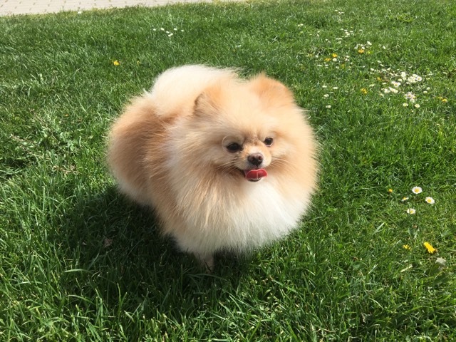 125241297_391226232062590_2166376132041374947_n