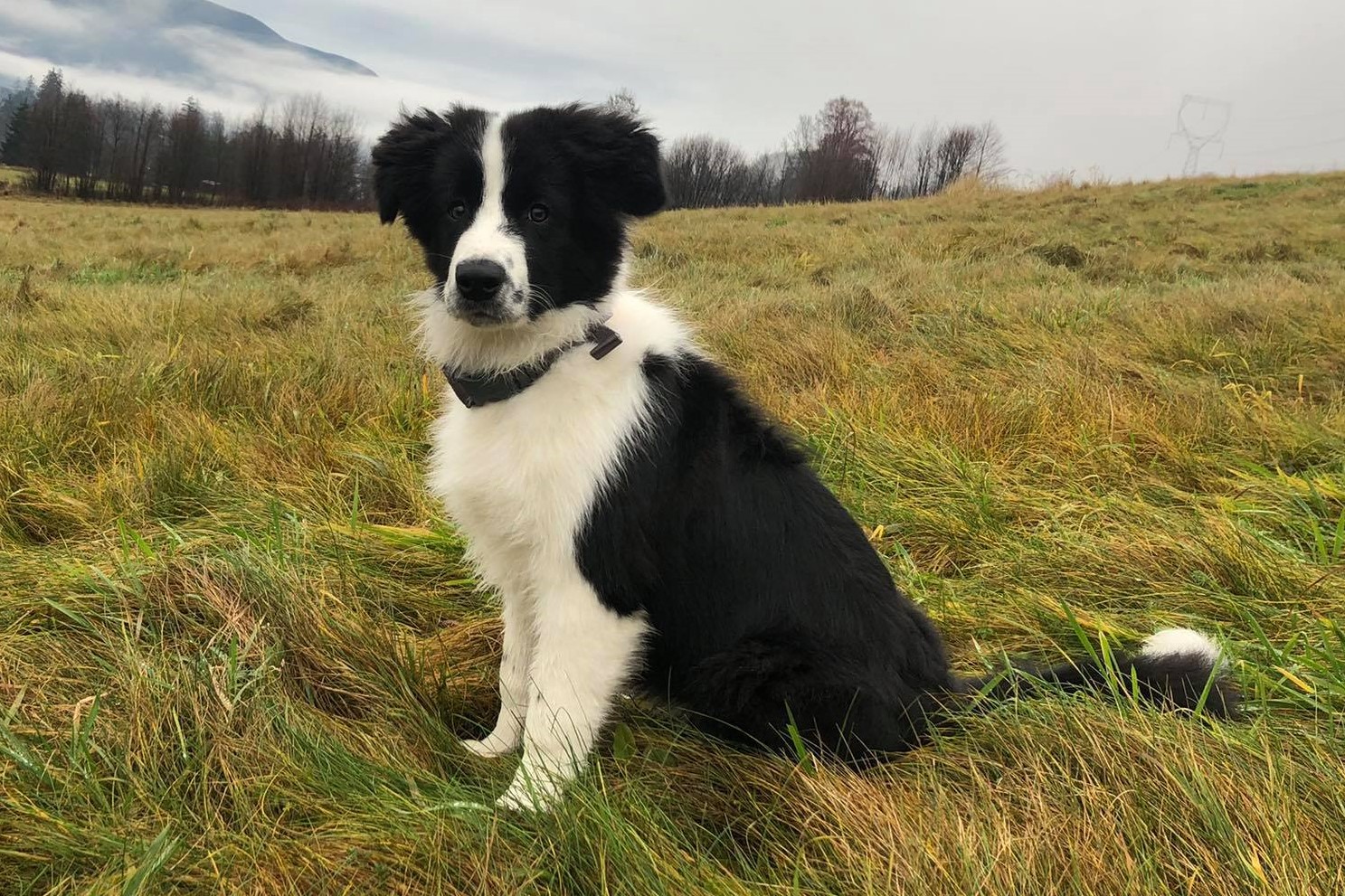 135676047_755215238420884_8692307171306745100_n 2