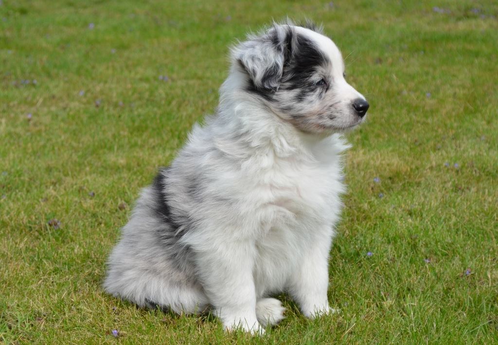 1396983_383615265114291_3885374835545199639_o