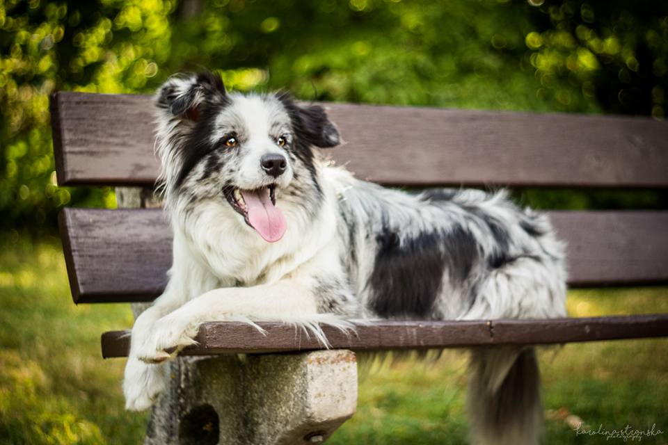 14053962_1115450008533895_6837225320472216910_n