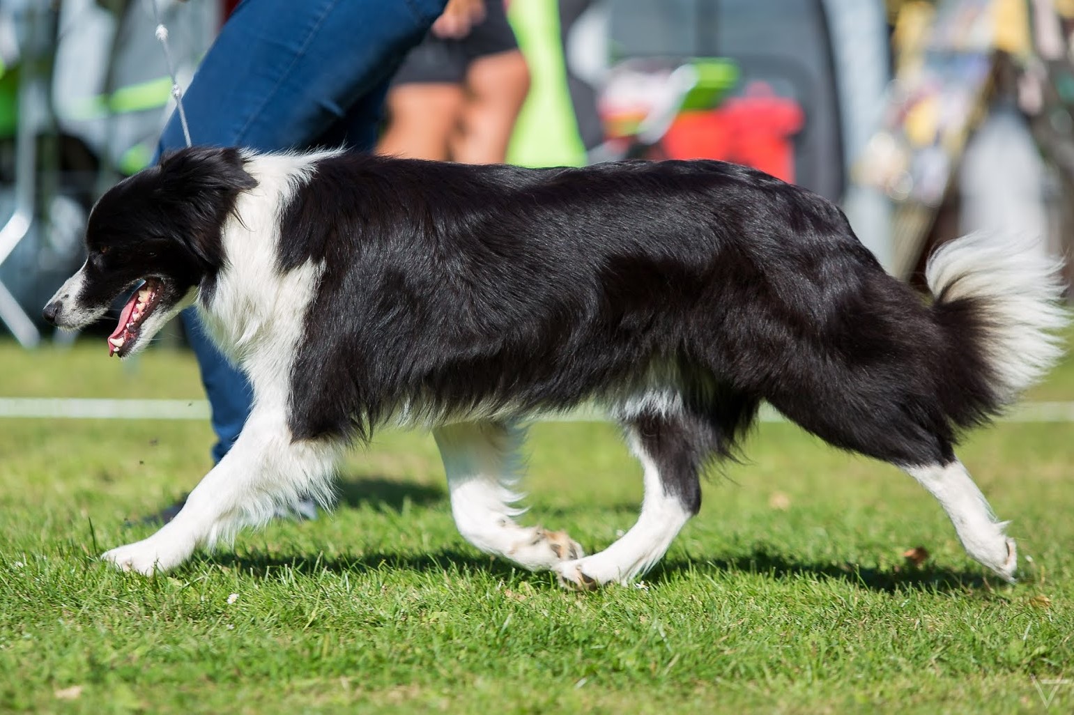 155_Amazon Flower Magic Bond_Ex1 CAC-1