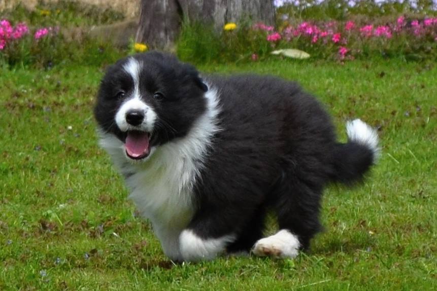 18143112_10155253233222290_1339074512_n