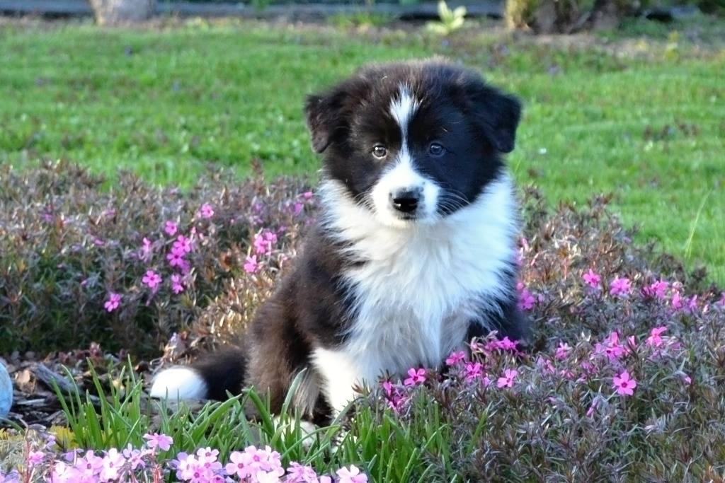 18159905_10155253233257290_1431506999_o