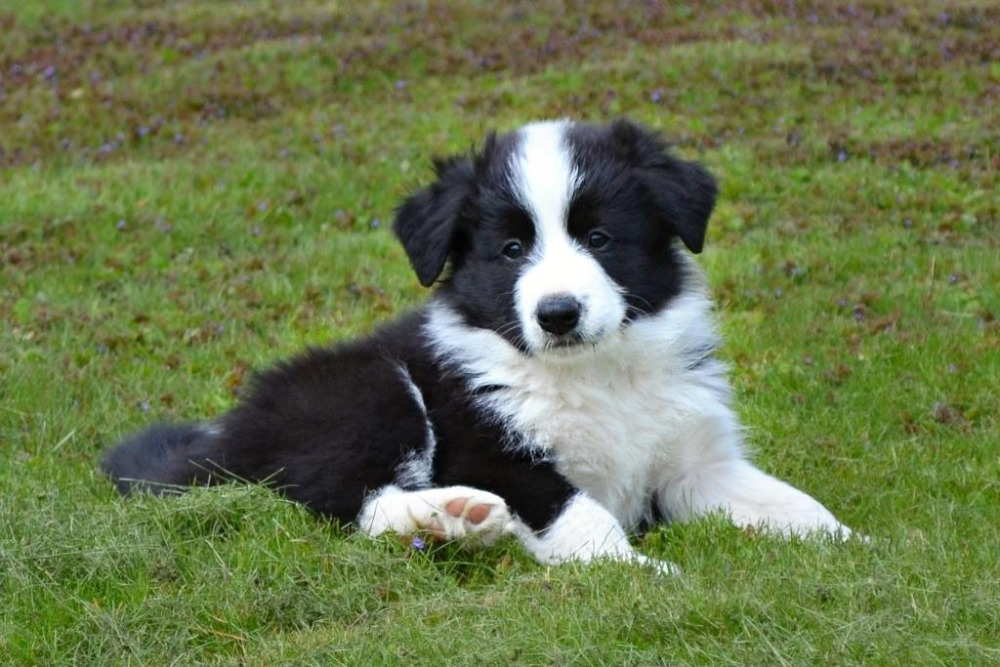 18159989_10155252880432290_2059041443_o