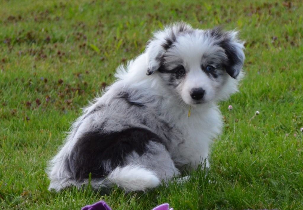 1932712_383621891780295_1117653355742062173_o