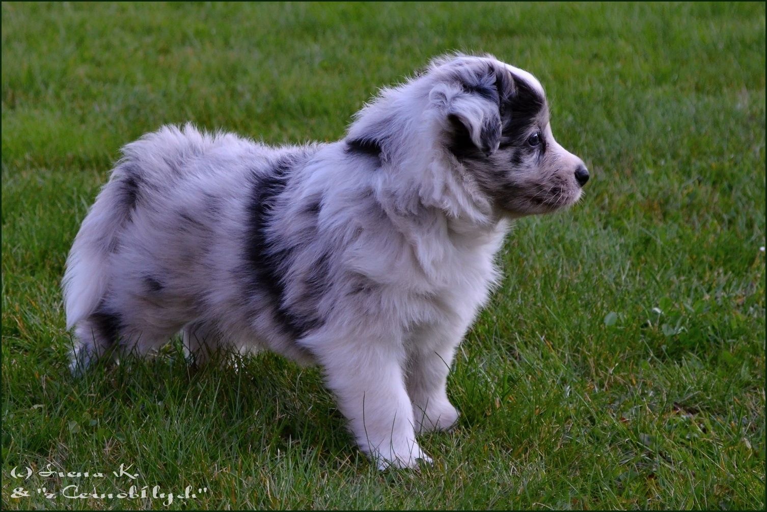 1966183_10152303280417290_805982993_o