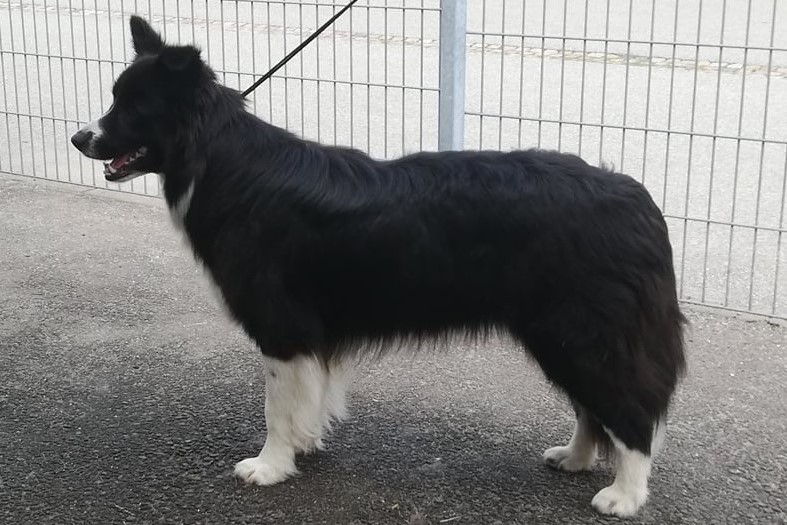 204769588_2077219559087178_8152107676192904876_n 3