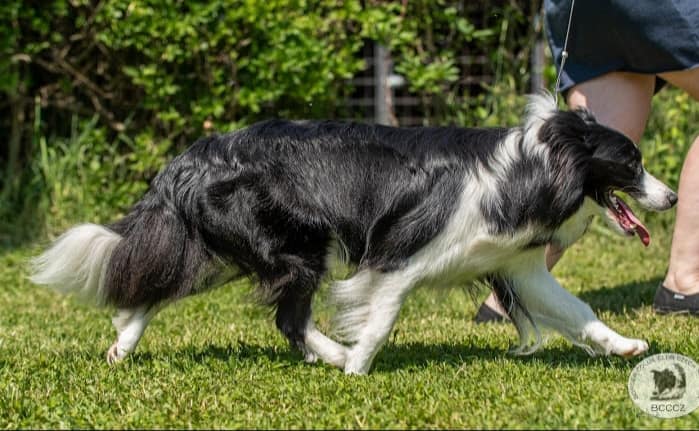 212765233_891133364803276_3969926442505102905_n