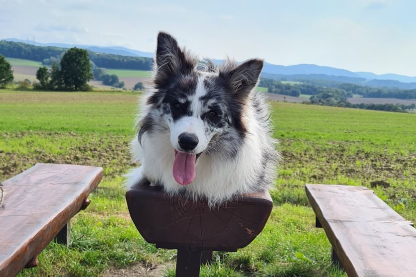 241430916_4910838505610343_5304881409893670551_n 2