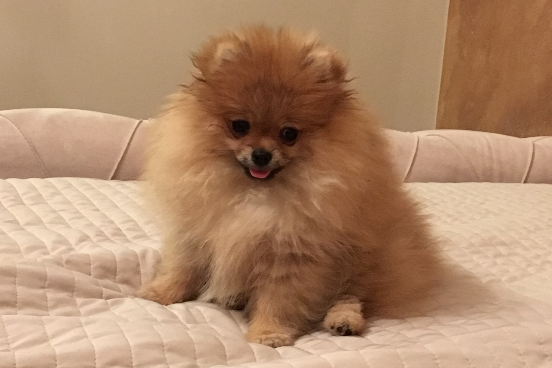 2C88C576-E5CA-4D26-9709-61E2FD12E6F1 2