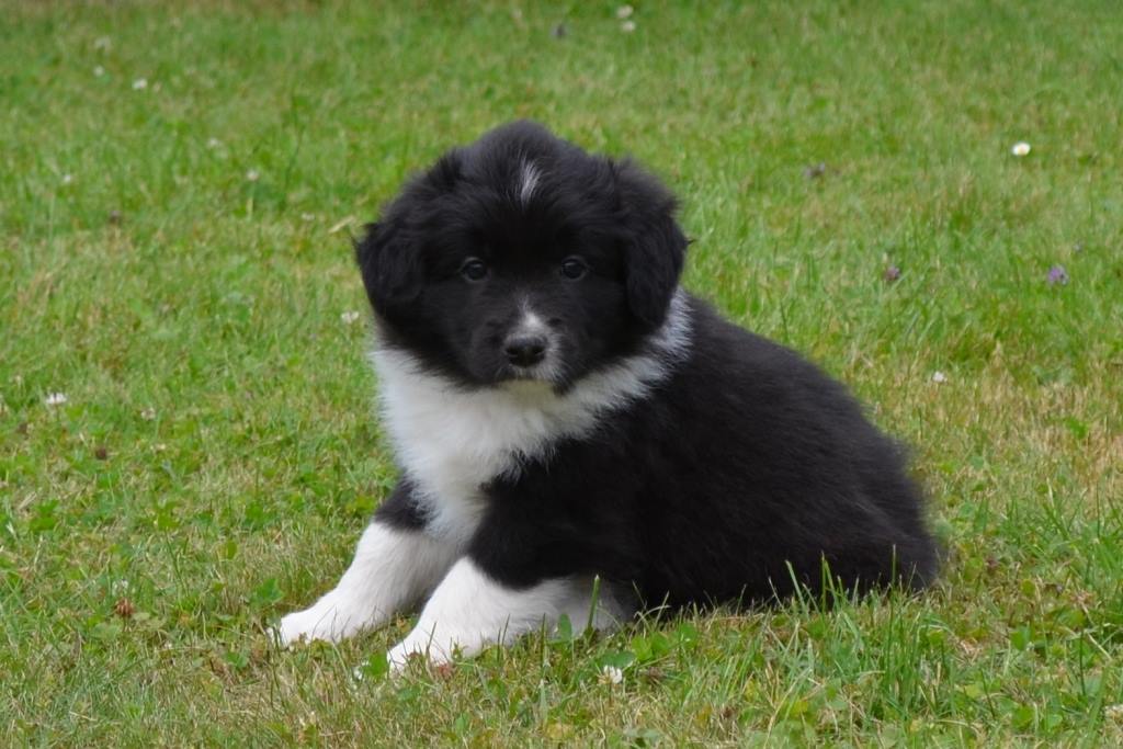 36725246_1143441505798326_7561410613189017600_n