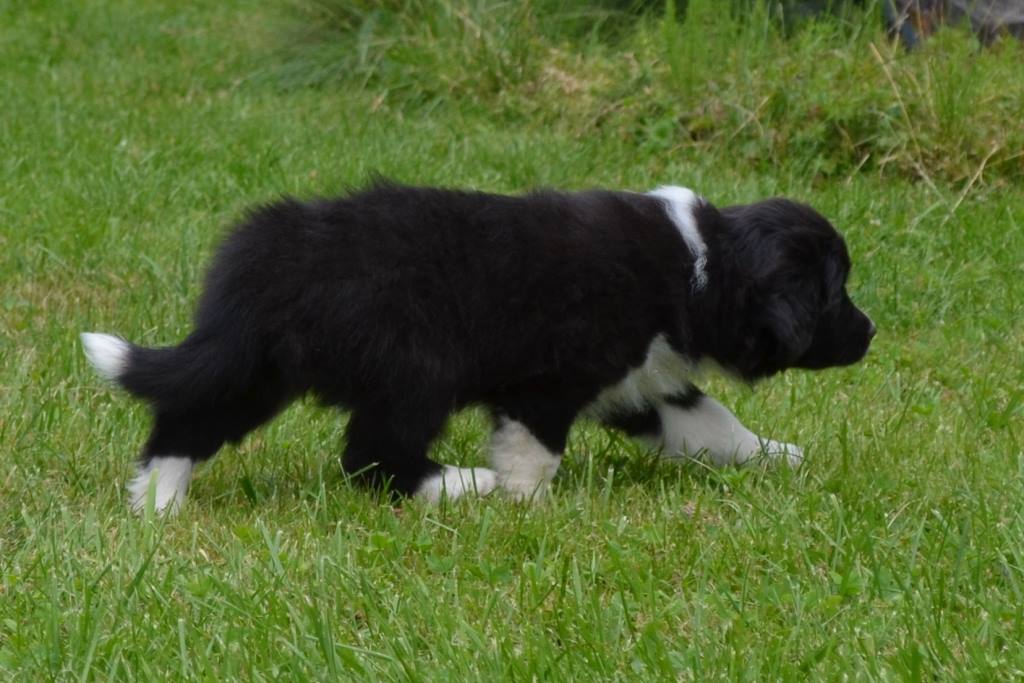 36745286_1143441595798317_1788941736635006976_n