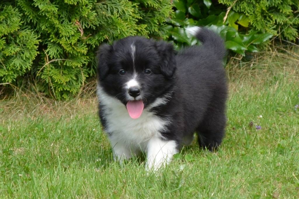 36823105_1143436972465446_5936364656770678784_n