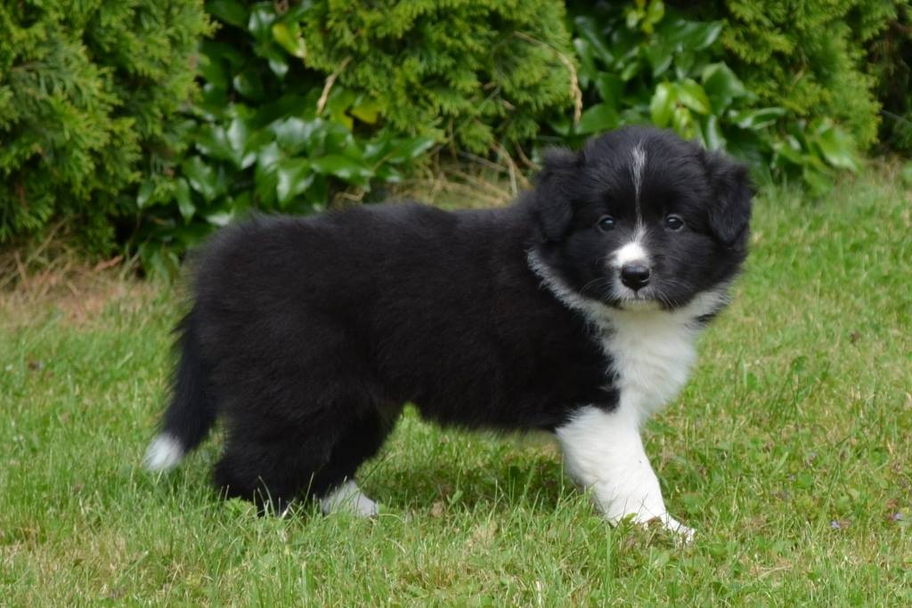 36844560_1143437012465442_4563909729939619840_n