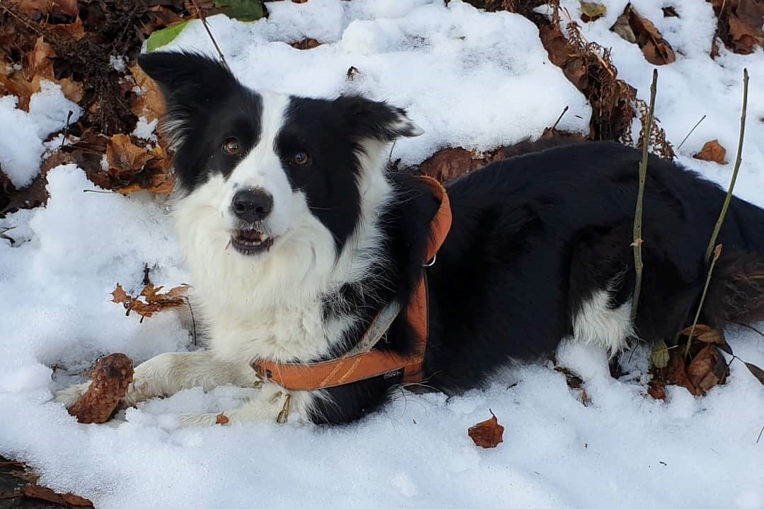 75610769_10211663382139344_4208739110203949056_n 2