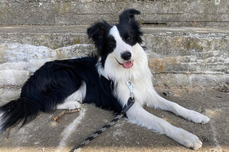 95268292_10216125784209128_6472644430946893824_n 2