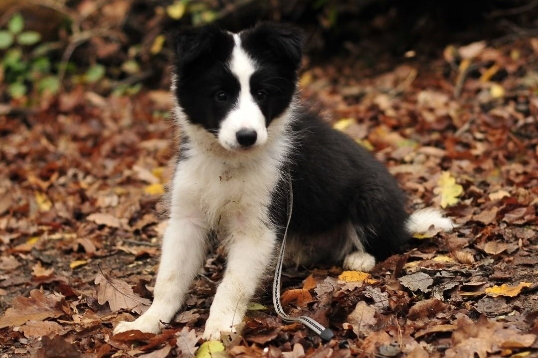 IMG_20200103_162816 2