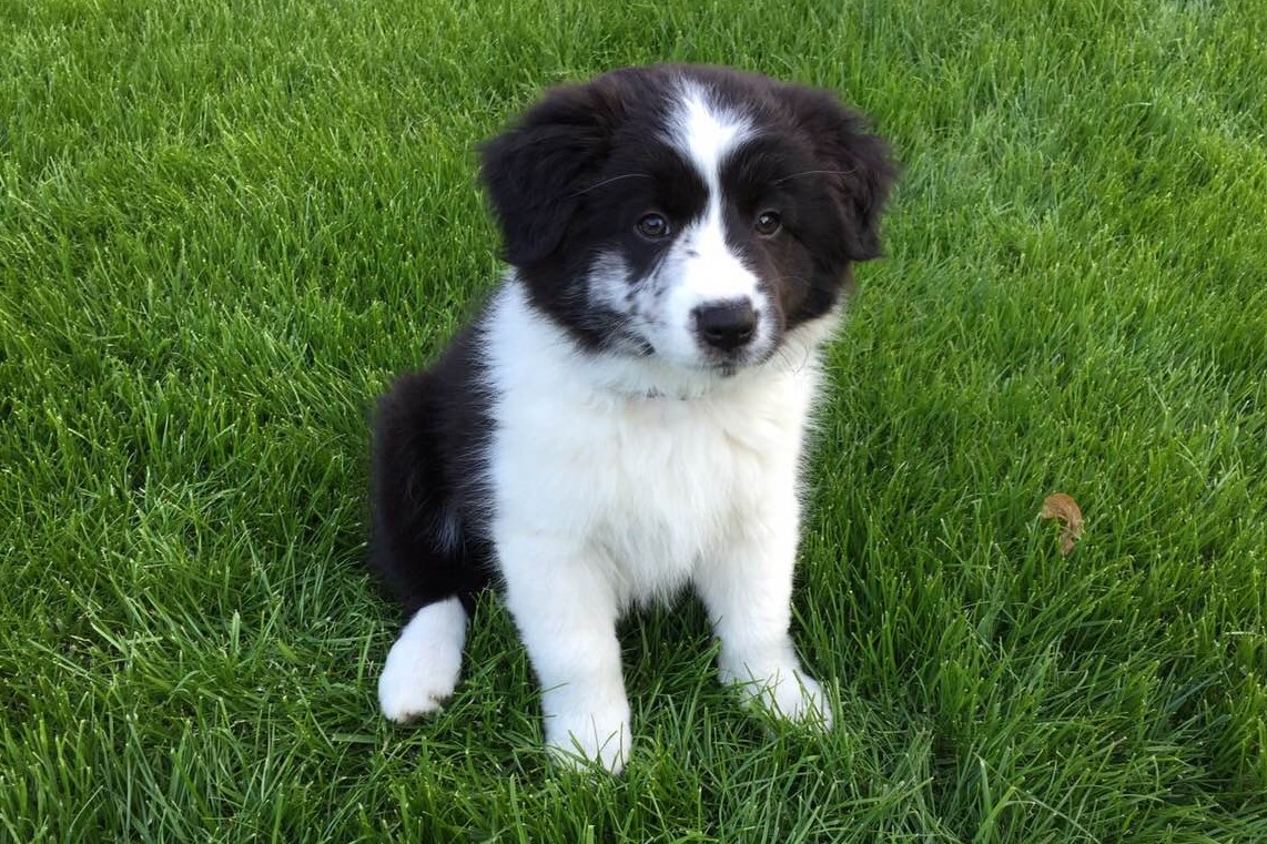 image-6903049f1997f90ac8f92c5d5c356611e9855aaad464ce7cb54a9b16bc93b0bd-V 2